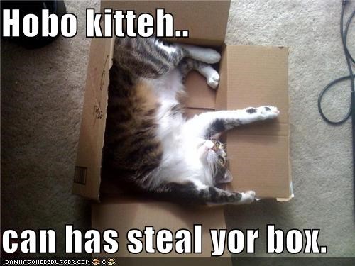 Hobo kitteh..  can has steal yor box.