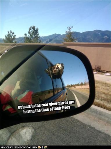 Objects in the rear view mirror are having the time of their lives