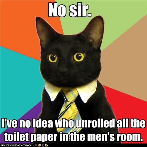 I've no idea who unrolled all the toilet paper in the men's room.