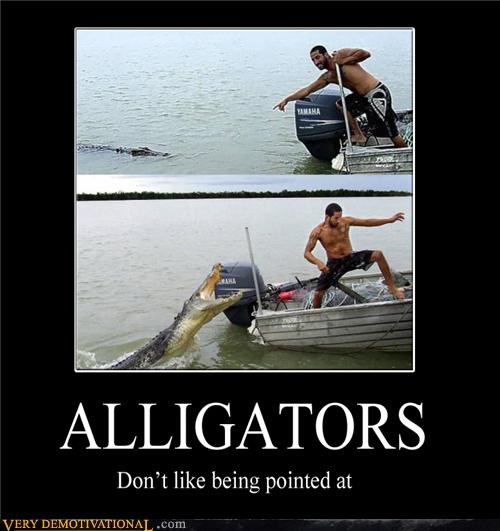 ALLIGATORS