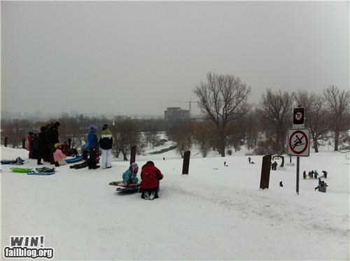 Canadian Disobedience WIN