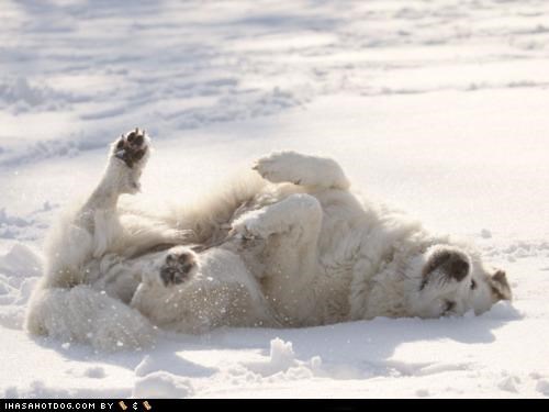 Snow dayz r mai faborit!