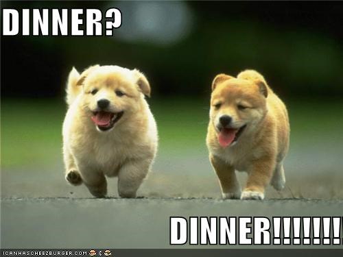 DINNER?                           DINNER!!!!!!!!
