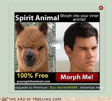 Llama Turns Into Werewolf?