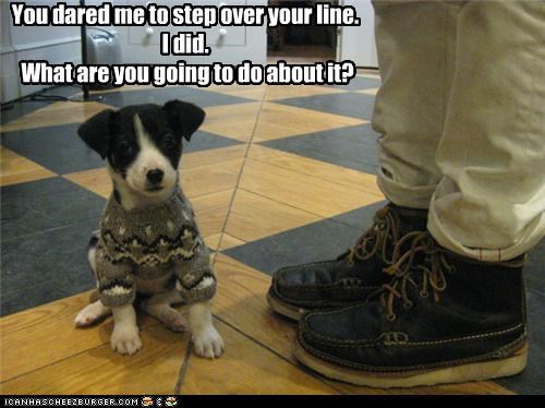 You dared me to step over your line. I did.  What are you going to do about it?