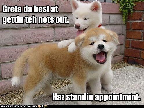 Puppeh Massage