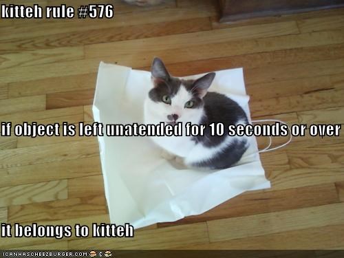 kitteh rule #576 if object is left unatended for 10 seconds or over it belongs to kitteh