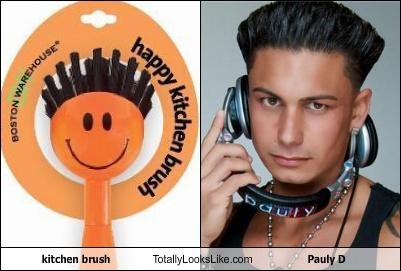 Kitchen Brush Totally Looks Like Pauly D