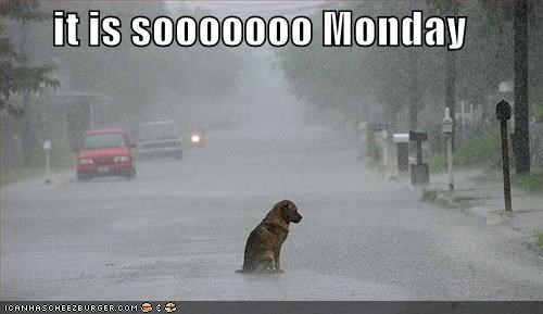 it is sooooooo Monday