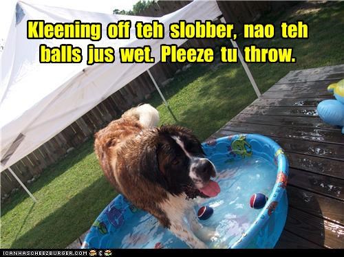 Kleening  off  teh  slobber,  nao  teh  balls  jus  wet.  Pleeze  tu  throw.