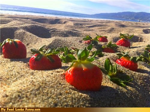 Strawberry Oasis
