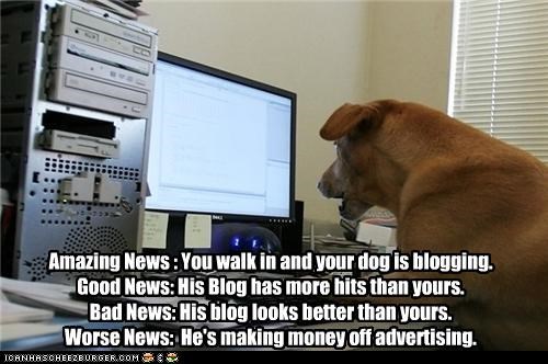 Dog Blog?