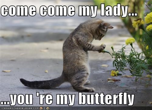 come come my lady...  ...you 're my butterfly