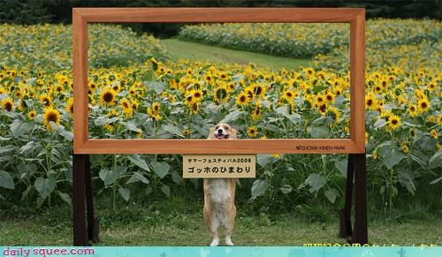 Acting Like Animals: I Am a Work of Art!