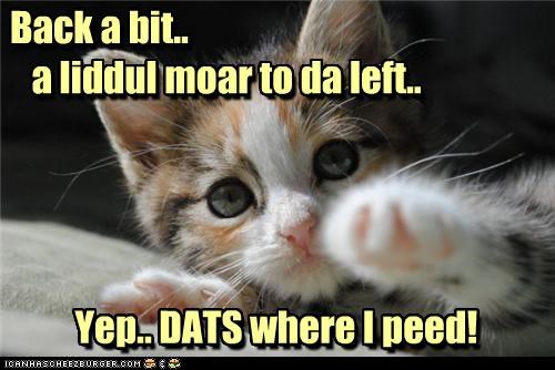 Back a bit..     a liddul moar to da left..              Yep.. DATS where I peed!