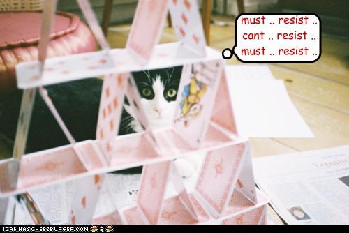 must .. resist .. cant .. resist .. must .. resist ..