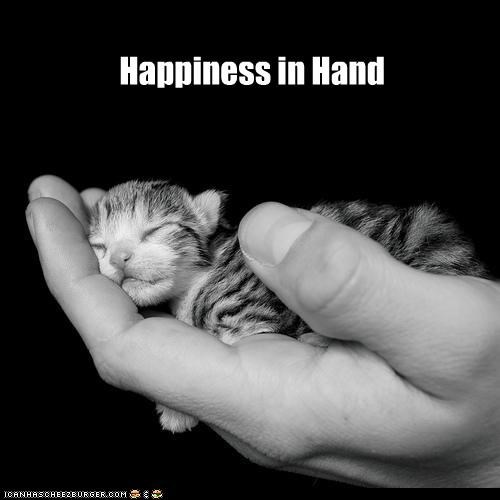Happiness in Hand