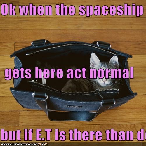 Ok when the spaceship  gets here act normal but if E.T is there than definitly get his autograph