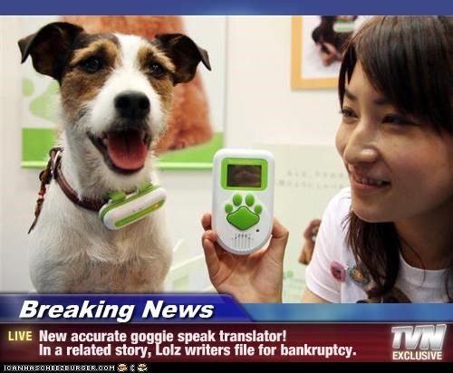 Breaking News - New accurate goggie speak translator!   In a related story, Lolz writers file for bankruptcy.