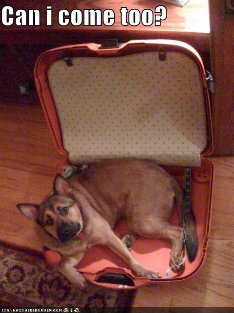 Can i come too?