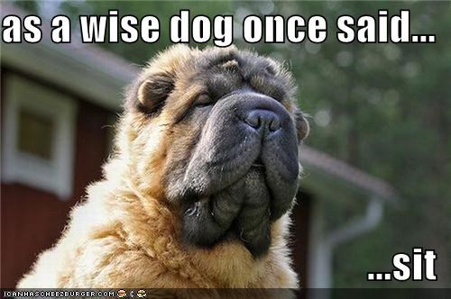 as a wise dog once said...  ...sit