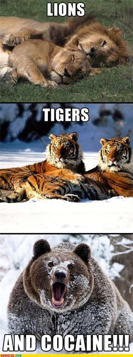 Lions, Tigers, and...