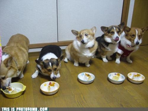 Dude, I Just Smelt That One