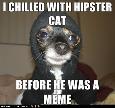 I Chilled With Hipster Cat