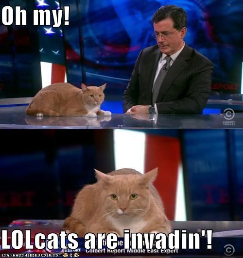 Oh my!  LOLcats are invadin'!
