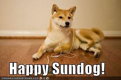 Happy Sundog!