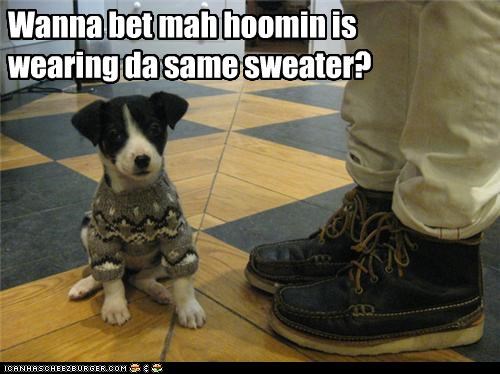 Wanna bet mah hoomin is wearing da same sweater?