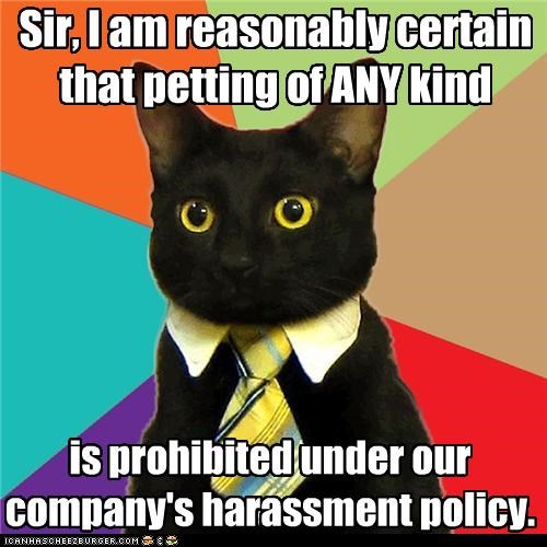 Business Cat: Didn't you go to the training seminar?