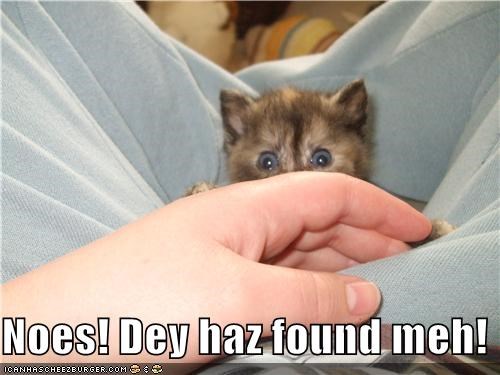 Noes! Dey haz found meh!