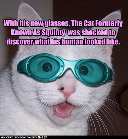 With his new glasses, The Cat Formerly Known As Squinty  was shocked to discover what his human looked like.