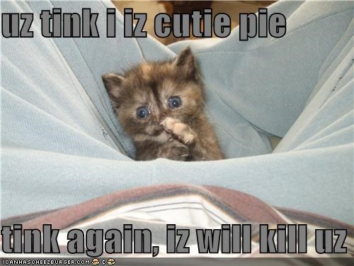 uz tink i iz cutie pie  tink again, iz will kill uz