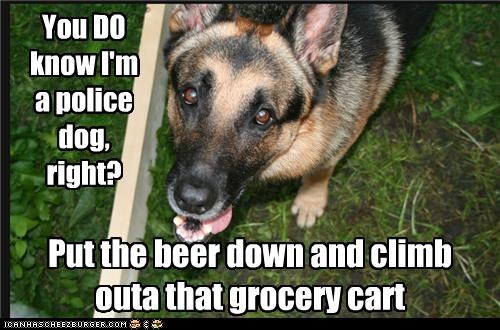 Sir, have you been drinking tonight?