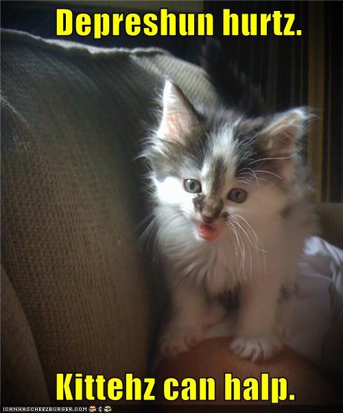 Depreshun hurtz.          Kittehz can halp.