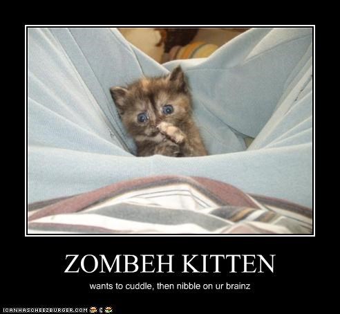 ZOMBEH KITTEN