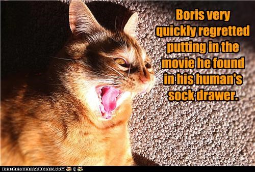 Boris very quickly regretted putting in the movie he found in his human's sock drawer.
