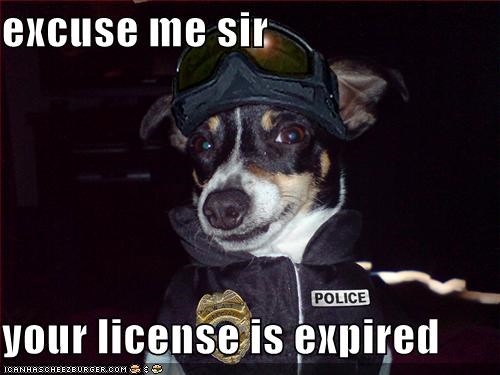 excuse me sir  your license is expired
