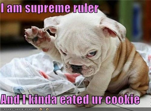I am supreme ruler  And I kinda eated ur cookie
