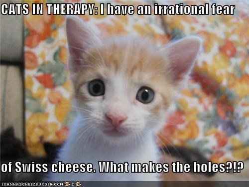 CATS IN THERAPY: I have an irrational fear  of Swiss cheese. What makes the holes?!?