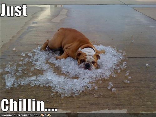Just Chillin....
