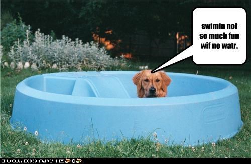 swimin not so much fun wif no watr.
