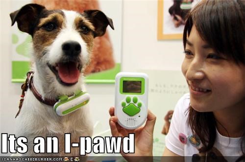 Its an I-pawd