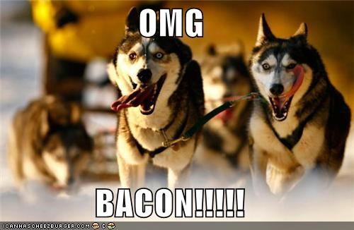 OMG  BACON!!!!!