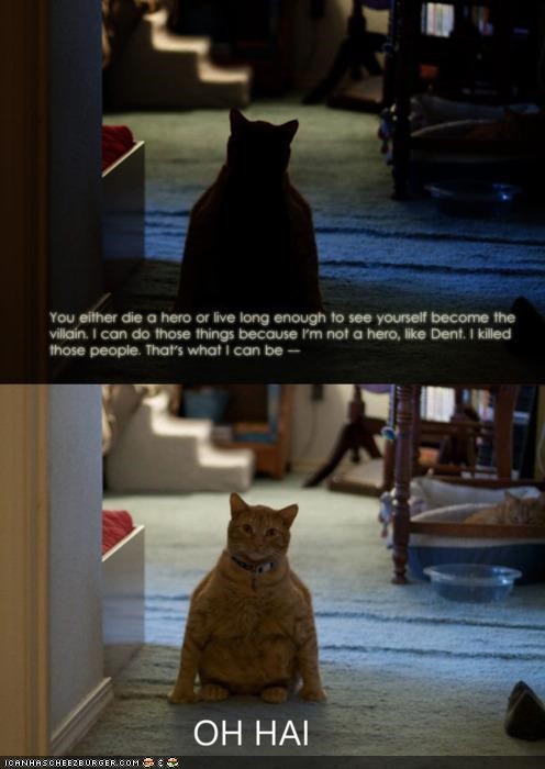 Katman: Teh Dark Kitteh