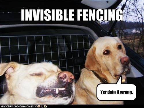 Invisible Fencing Lesson #208