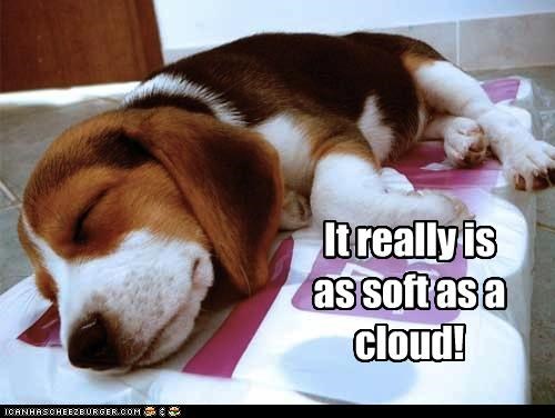 It really is as soft as a cloud!