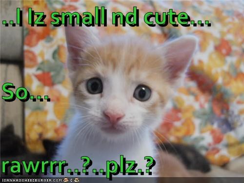 ..I Iz small nd cute... So... rawrrr..?..plz.?